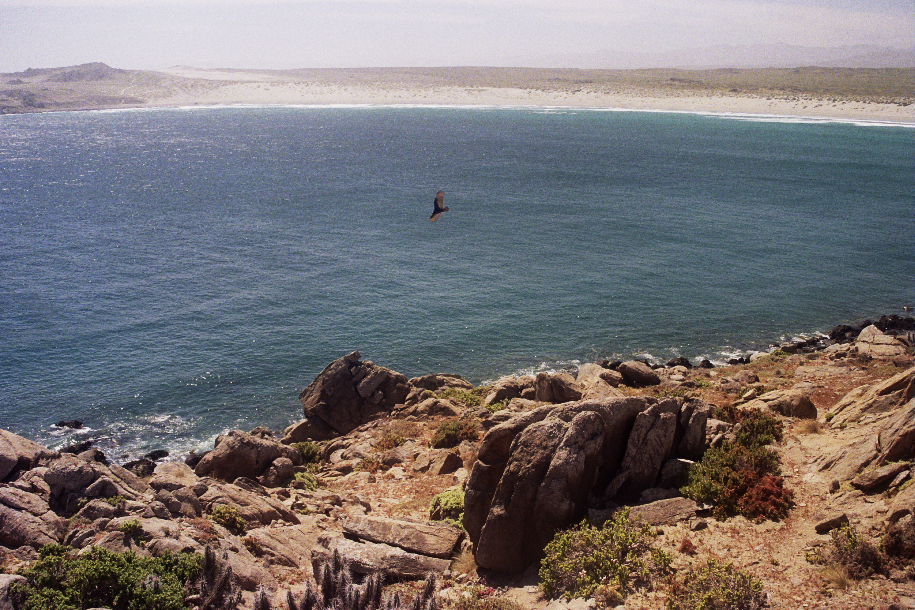 Punta de Choros